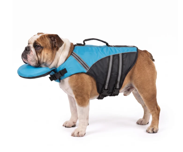 PawFloat lifejacket